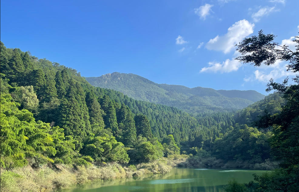 Q2庐山行：把「难行能行」刻进Q3的基因里